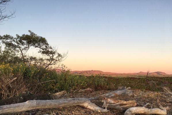 Wetlands Edge Hike