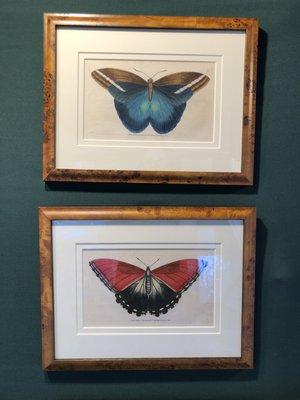 A pair of professionally framed, hand-colored engravings of butterflies, which published circa 1800 in London England.