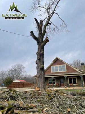 Extreme Tree Service