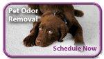 Stevens Family  Chem-Dry provides pet urine removal that is eco-friendly.