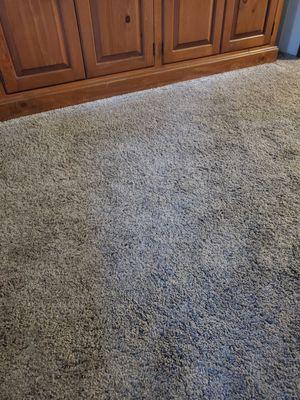 cleaned rug in front of door