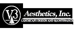 Aesthetics, Inc