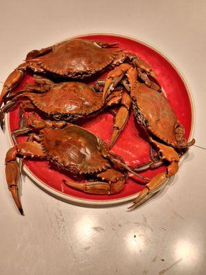 Cajun Crab Hut