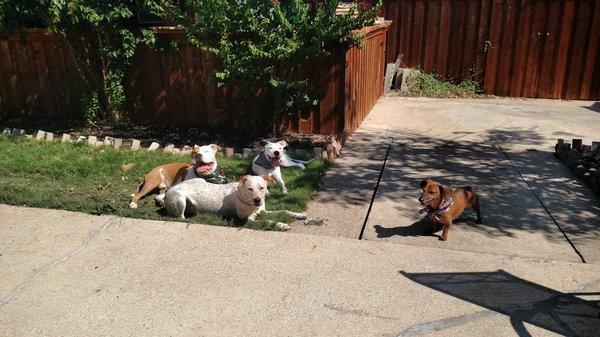 Group photo after some playtime.