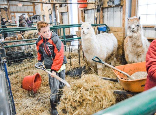 Our Middle School program includes a working farm! Students care for the animals as part of the curriculum.