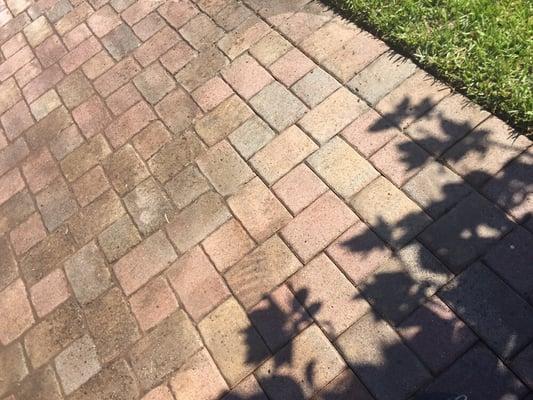 Brick pavers left side dirty right side clean.