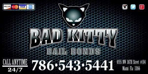 Bad Kitty Bail Bonds