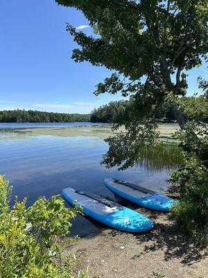 Paddle boards!