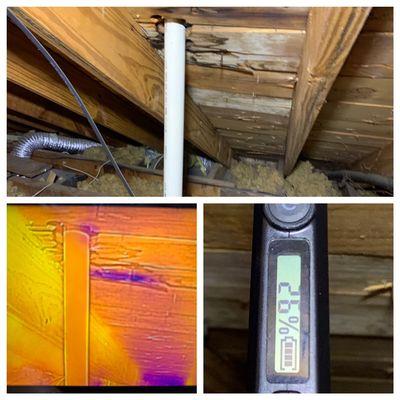 When you ask for a price on your inspection ask if the inspector uses a thermal camera and moisture meter on each inspection!