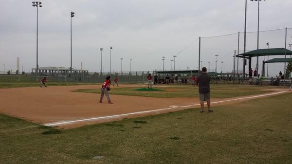 Taylor Regional Sports Complex - baseball fields