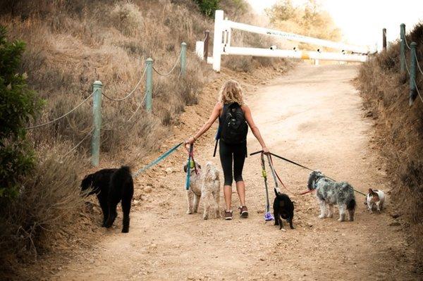 Tails On The Trails