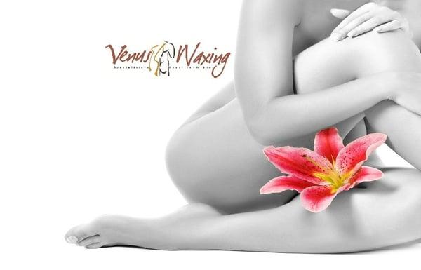 Venus Waxing Spa