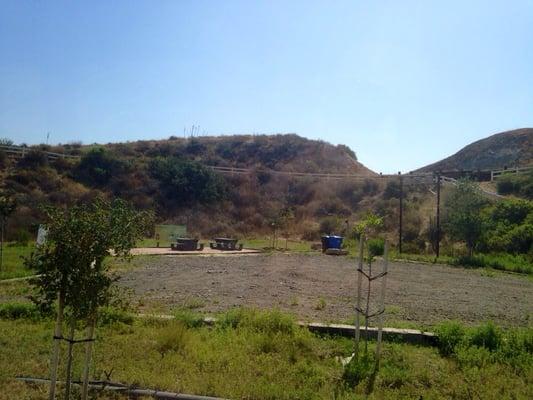 Pollinator field with trailhead to the riparian zone