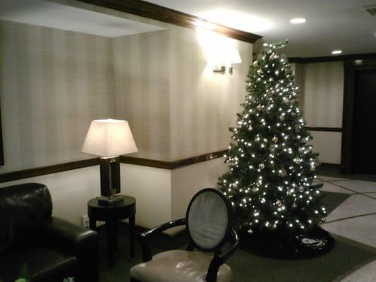 Lobby w/ Holiday Decorations