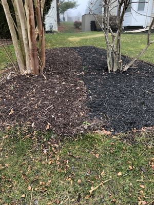 Shade Tree Landscaping