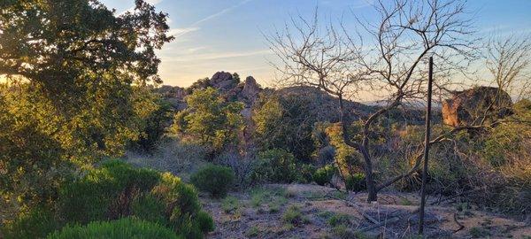 Large Boulder mountain views at C.O.D. Ranch