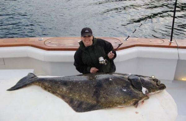 Halibut landed with the whopper stopper rod