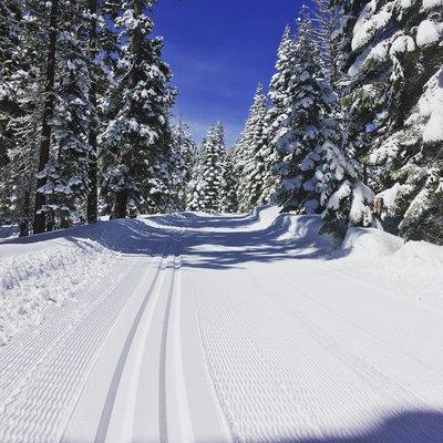 Perfectly groomed cross-country ski trails at Tahoe XC