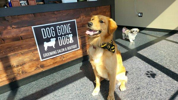 Happy Luca with his Batman bandana!