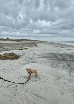 North Brigantine Beach