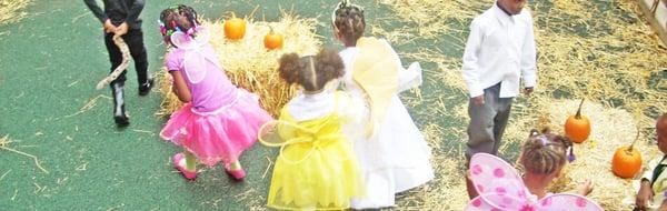 Pumpkin picking in the outdoor play area.