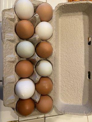 Eggs from Riverside