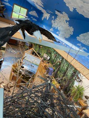 North Lakeland Discovery Center