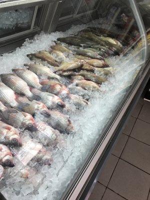 Fresh fish !!!