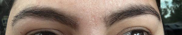 The tint color doesn't even match my eyebrow color. The shape on the front is way different. Completely not satisfied