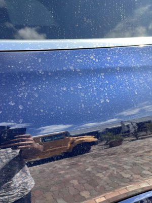 Scratches, chips and stains on my very expensive AMG GLS 63