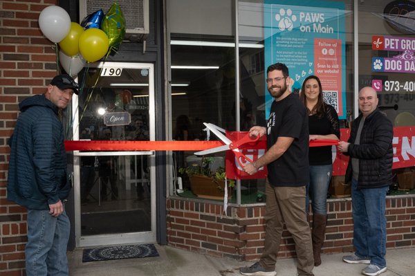 PAWS on Main - Grand Opening!