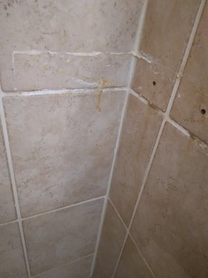 Shower corner where shelf was showing holes and glue used to attach