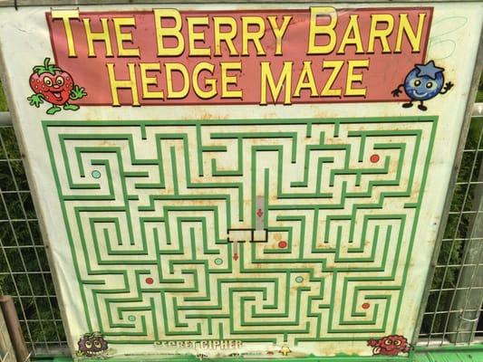 The maze map