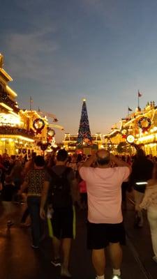 Christmas tree on the main street