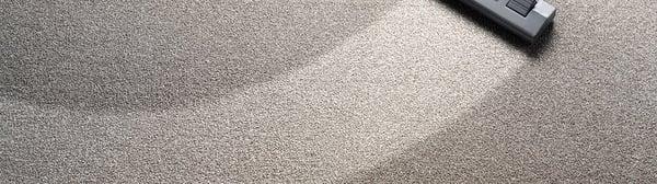 Boise Carpet Cleaning Meridian Carpet Cleaning Nampa Carpet Cleaning Idaho Carpet Cleaning