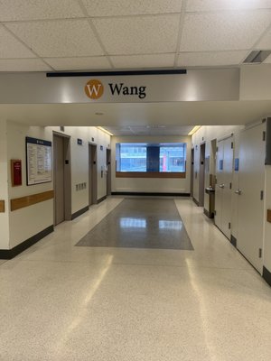 First floor elevators going up to third-floor pain clinic and MGH Wang building