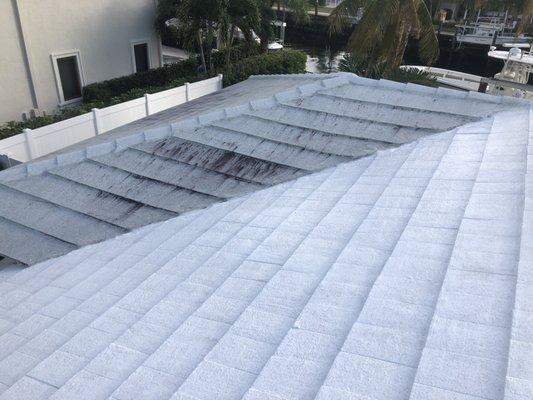 Do you own a white roof? We can help keep it clean.