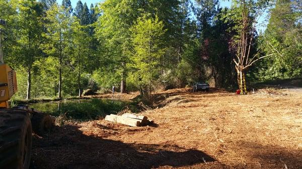 Nevada County Brush Clearing & Hauling