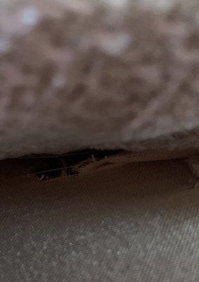 Tear under cushion of sofa under the arm of sofa.