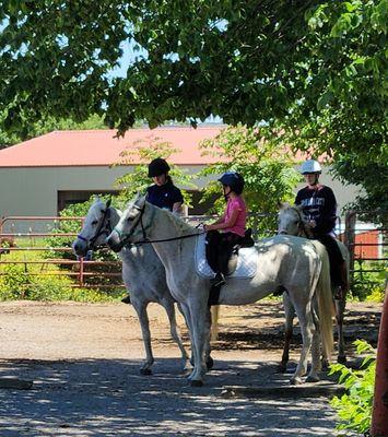 Echo Valley Arabians