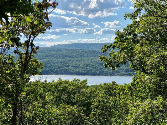 Chestnut oak ridge osio