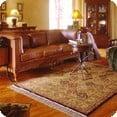 Upholstery Cleaning