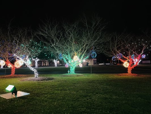 "Deck the halls" at Chesapeake City Hall