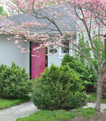 The bright pink door not only plays with the color in the dogwood tree, it is invigorating and a hint to the personality who lives within.