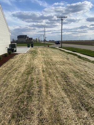 New construction regrade and Grass install