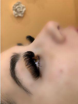 Volume Lashes