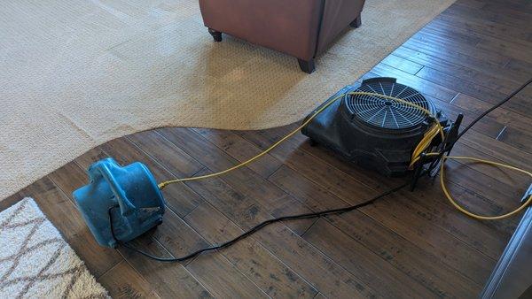 SunCal Carpet Clean