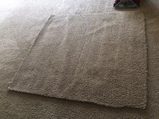 Carpet stain extraction after picture