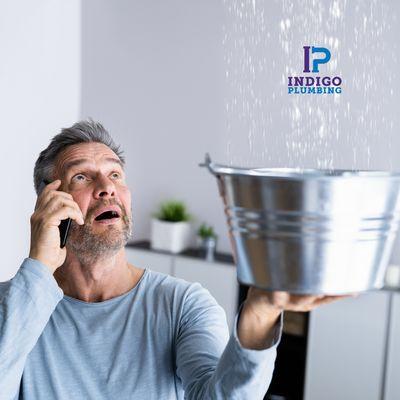 Indigo Plumbing