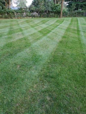 Large area lawn maintenance